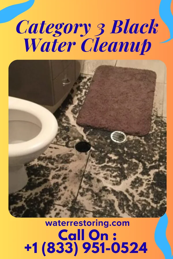 Category 3 Black Water Cleanup in Forest City, NC