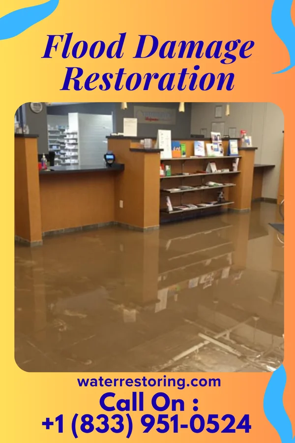 Flood Damage Restoration in Forest City, NC
