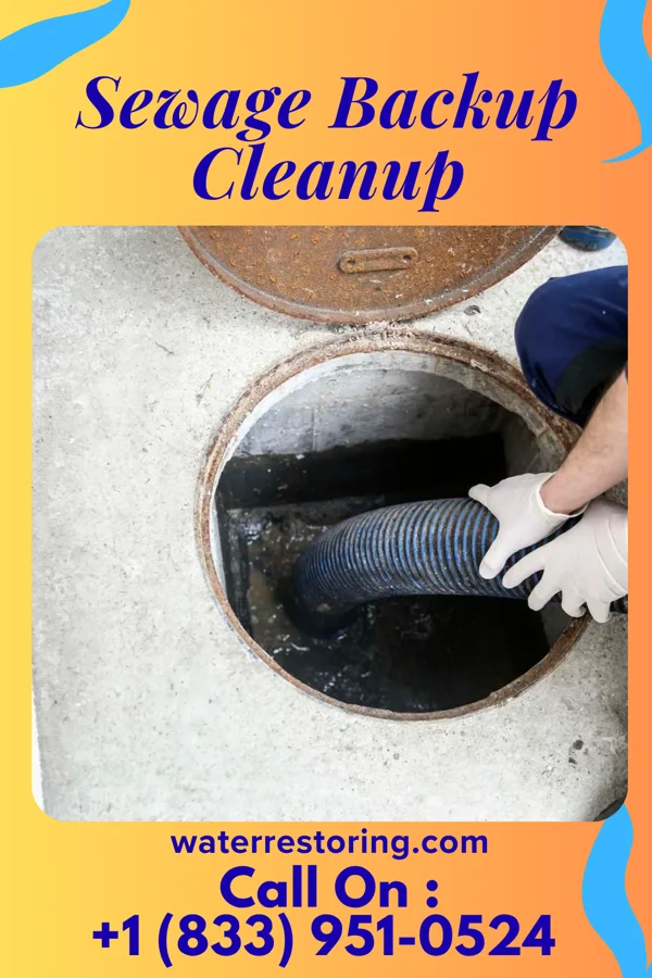 Sewage Backup Cleanup in Forest City, NC