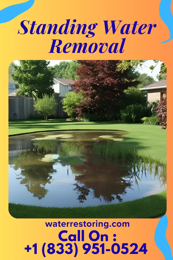 Standing Water Removal in Forest City, NC